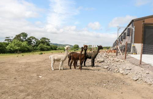 Glebe Farm Cottage - Foto 33