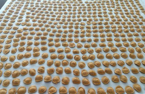 east coast house - Foto 24