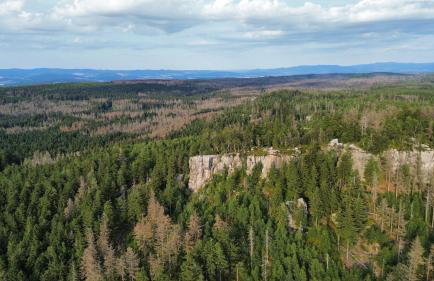 Apartamenty MOGADOR - Foto 18