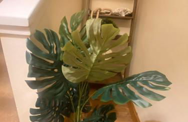 Esviken 2 in heart of Kirkwall - Foto 10