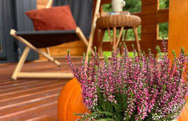 Okno na las - Foto 25