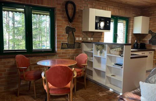 Raj na Kaszubach - Pałubicka Bór - Domy na Wynajem - Foto 74