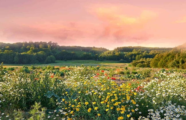 Holiday Home by the Lake, Rosnowo - Foto 18