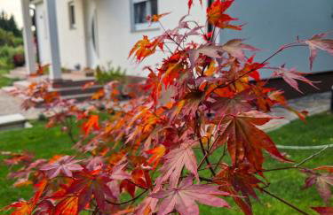 House4Seasons - Foto 41