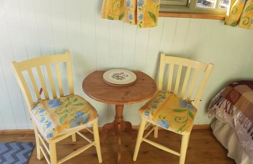 Shepherds hut Dolly wagon - Foto 2