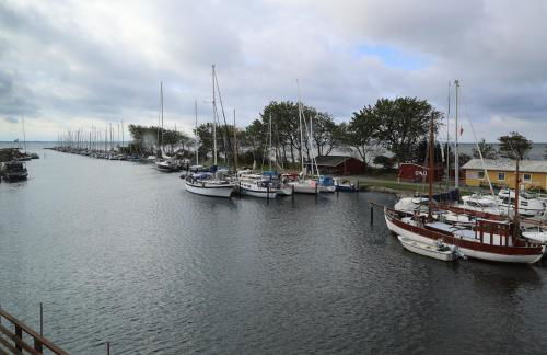 Großes Piratennest - Am Meer - Foto 6