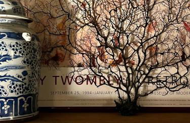 La Consulta - Foto 65