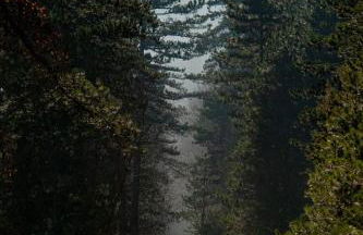 Ιξός Home - Photo 61