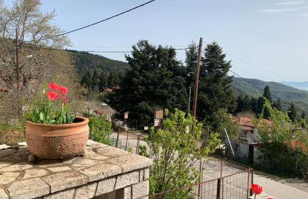 Ξύλο & Παράδοση - Foto 27