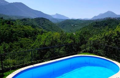 Dalmatian Green Peak - Foto 1