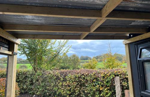 The Container - Foto 9