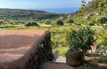 Dammusi IL SERRALH -Pantelleria- - Foto 70