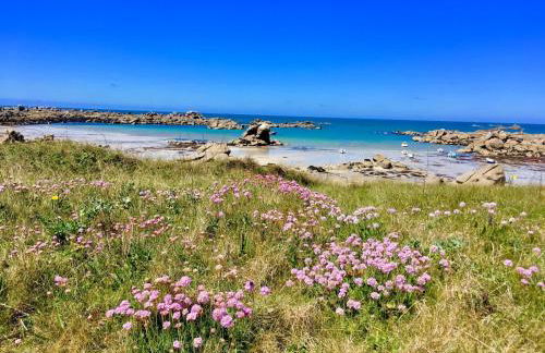 The Legendary Coast by Tiny Away - Foto 21