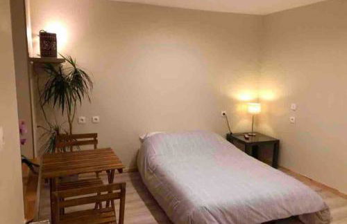 Belle demeure de 1820, classée, à 5 mn de Blois, 10 mn de Chambord - Foto 23