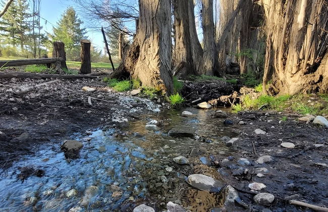 Esaki Farm Near El Bolson - Photo 44