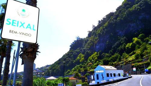 Lazy Lizard by the Ocean - Foto 4