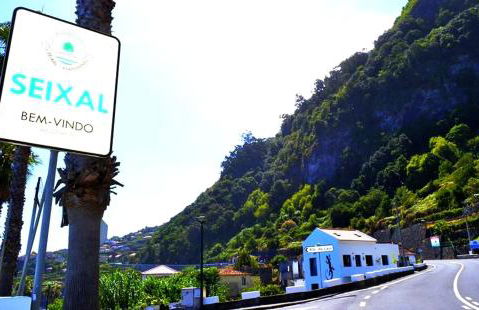 Lazy Lizard by the Ocean - Foto 4