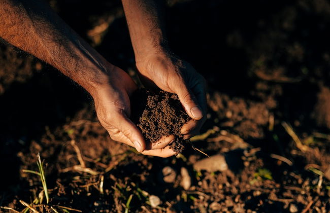 Agriturismo Borgo il Mezzanino - Foto 53