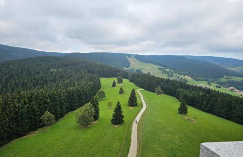 Domki Pod Lasem - Domek Brzozowy - Foto 52