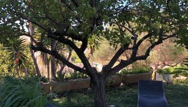 T2 - Rez de Jardin, proche de la mer - Foto 3, Garden