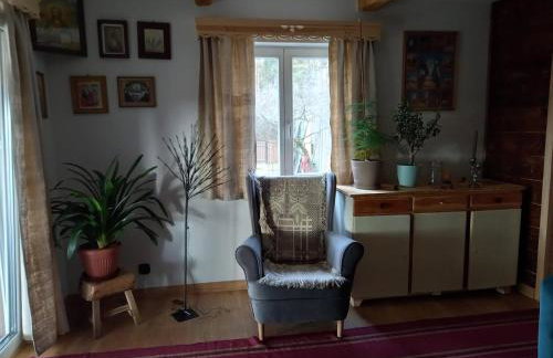 Gospodarstwo agroturystyczne alpaki Pituchówka - Foto 7