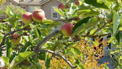 Beautiful Home in Quiet Area - Foto 5