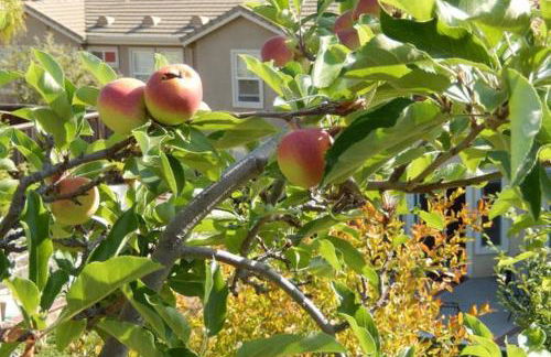 Beautiful Home in Quiet Area - Foto 5