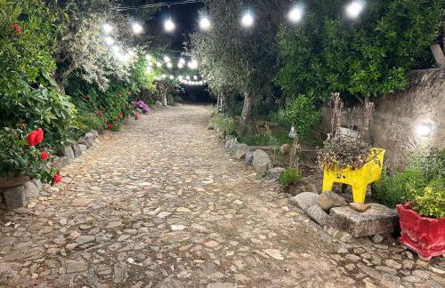 Casa dos Avós - Foto 22