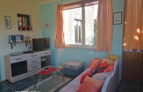 Apartmani Zute - Foto 2