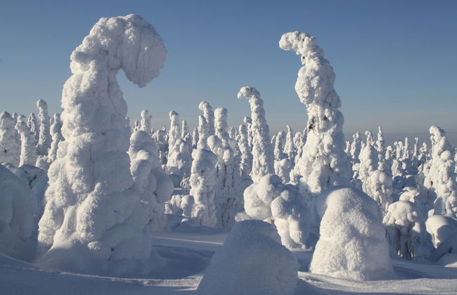 Vanhan Karhun apartments - Foto 17