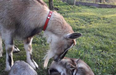 Mala Chatka - Photo 62