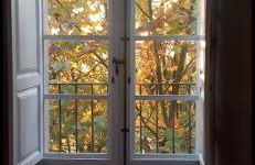 Casa Grande de Láncara - Foto 78