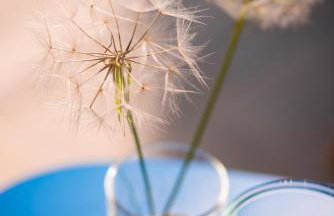 On The Rocks - Foto 22