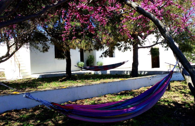 Windmill Complex - Photo 18