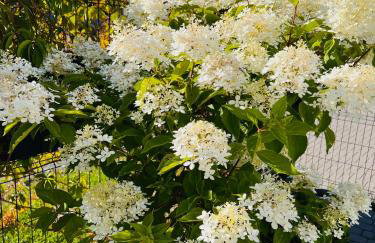 Domki Apartamentowe Orłówka - Photo 50