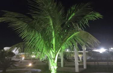 Ap.Frente para o mar Pé na areia c/ Var. Goumert Condominio Costa do Sol - Foto 37