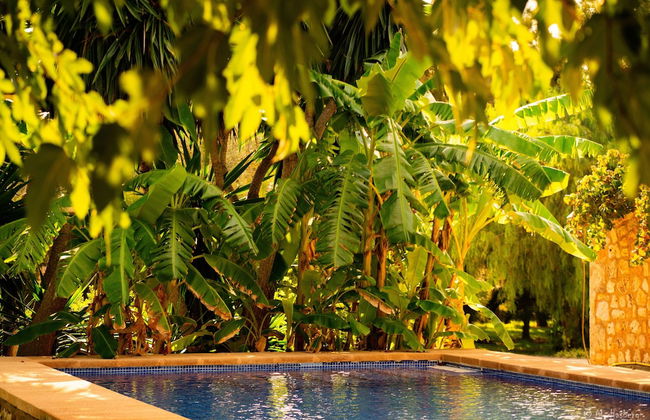 Agroturisme Son Barceló Mas - Foto 56