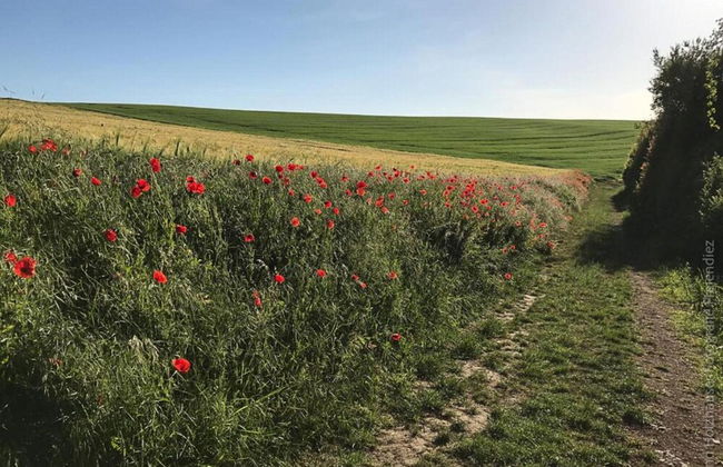 Flat in Birlenbach Near Laurenburg Castle - Foto 36