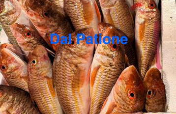 Casa Ciccina - Foto 8