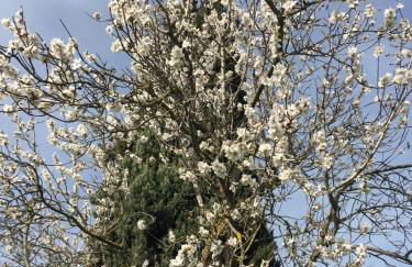 Villa Il Padule - Foto 72