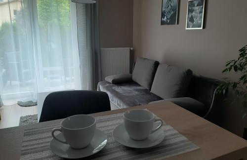 Apartamenty ,,Trzy Sosny'' Rymanów-Zdrój - Foto 18
