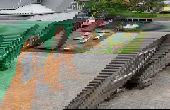 Floripa Glamping - Photo 25