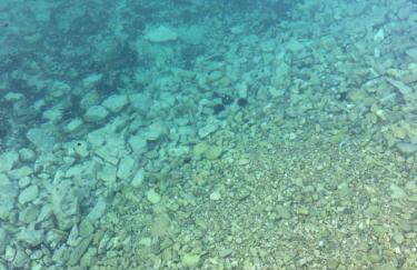 Apartmani Mima - Photo 42