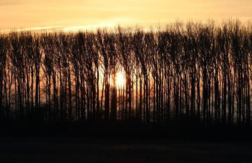 Ferienwohnung Boddenliebe - Foto 32