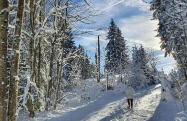 Au Doubs lac - Foto 39