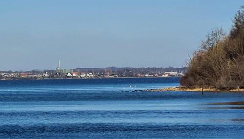 Ostseetraum - Foto 2