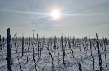 Design Apartments I Küche I WiFi I Parkplatz I helloYOU apartments x BRIGHT Collection - Foto 28