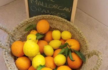 Can Blau Homes Turismo de Interior - Foto 27