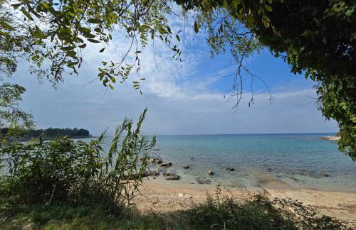 Marine Bliss - Foto 27