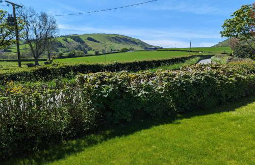 Sarn Y Glyn in Mid Wales Cambrian Mountains near Llanidloes Powys - Photo 19